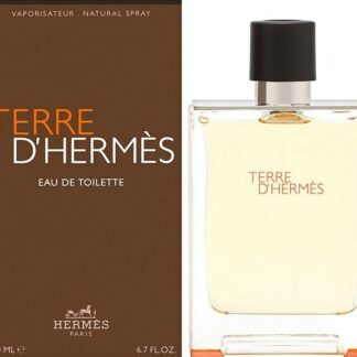 Terre d'Hermes Eau de toilette spray, Uomo, 200 ml