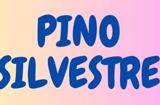 PINO SILVESTRE